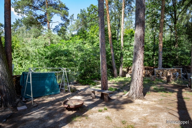 Waldgrundstück hinter dem Haus