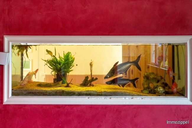 EG Aquarium in der Wohnzimmerwand
