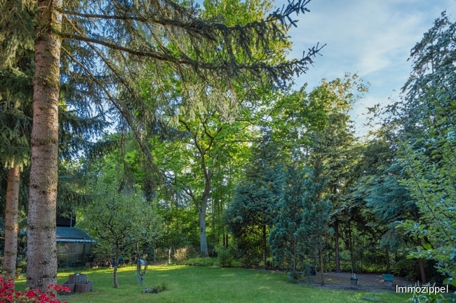 Blick in den Garten