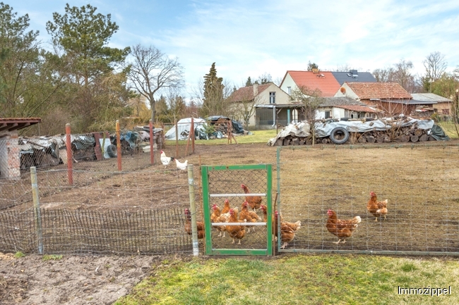 Hühnerauslauf im Garten