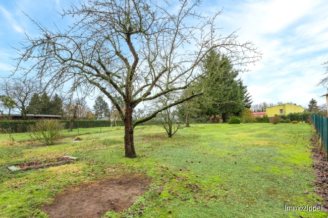 Großzügiges Gartengrundstück