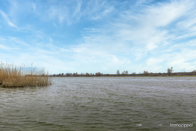 Blick auf die Oder (ca. 2,5km entfernt)