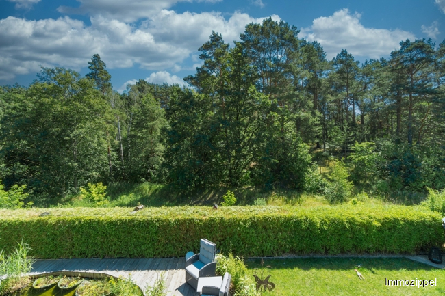 DG Aussicht vom Schlafzimmer auf den angrenzenden Wald