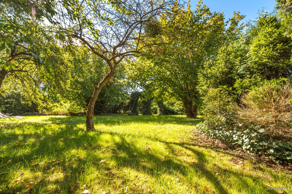Gartenansicht