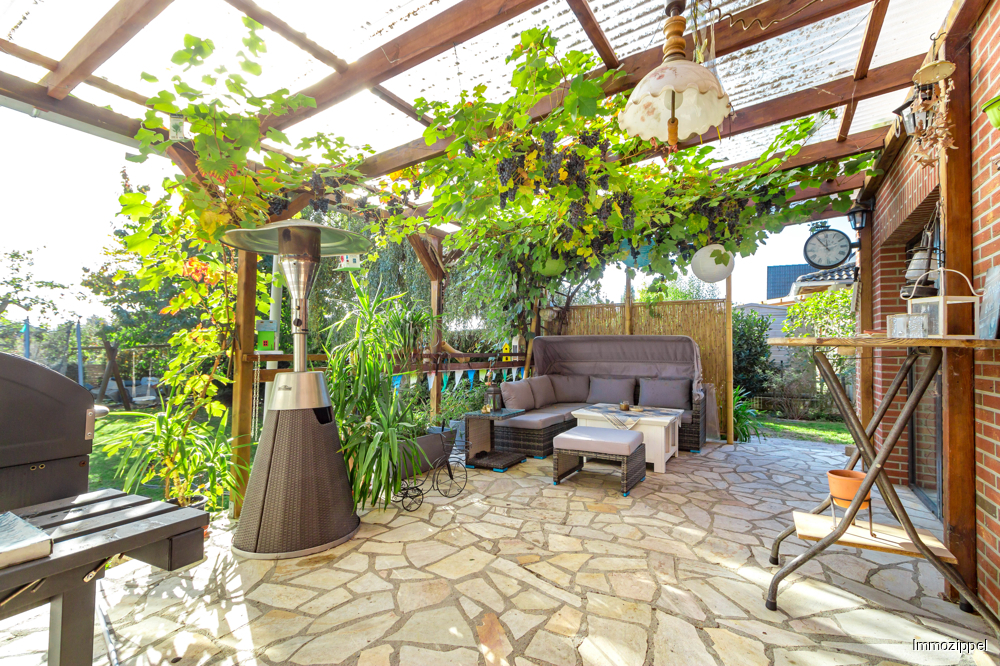 Überdachte Terrasse mit Weinreben