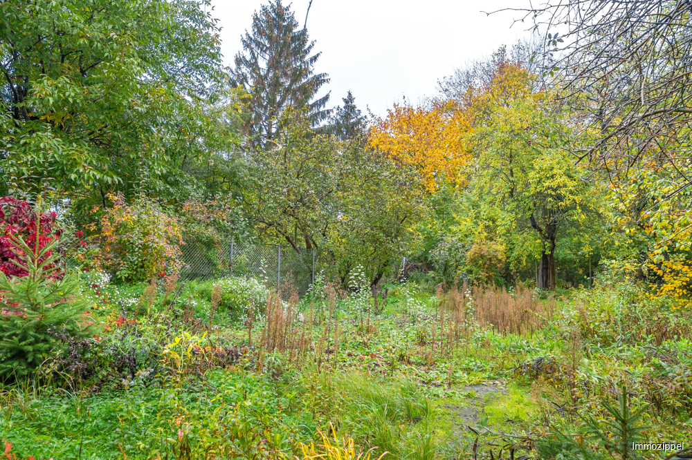 Hinteres Grundstücksteil