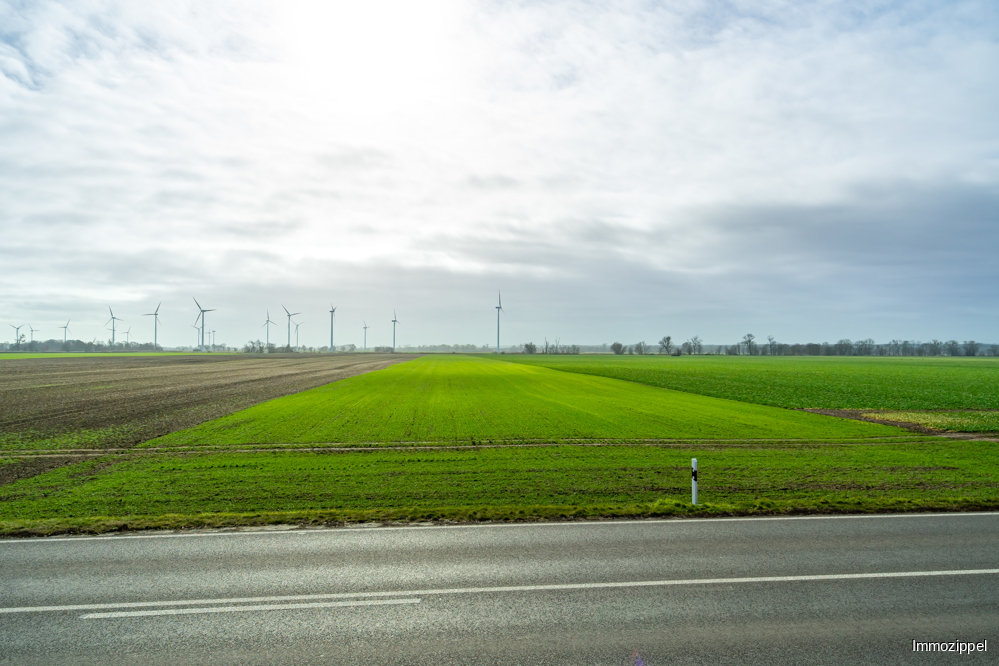 Ausblick ins Oderbruch