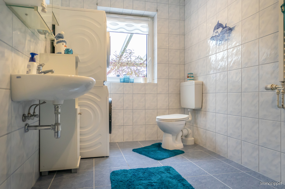 EG Duschbad mit WC und Waschmaschinenstellplatz
