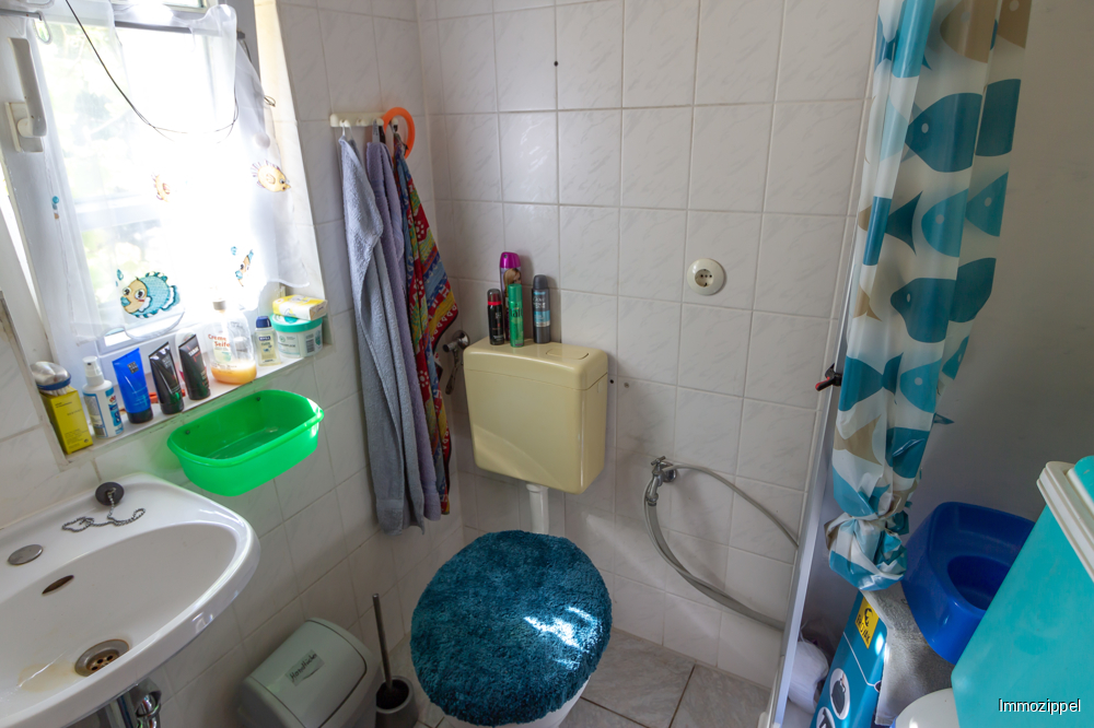 EG Duschbad mit WB und WC