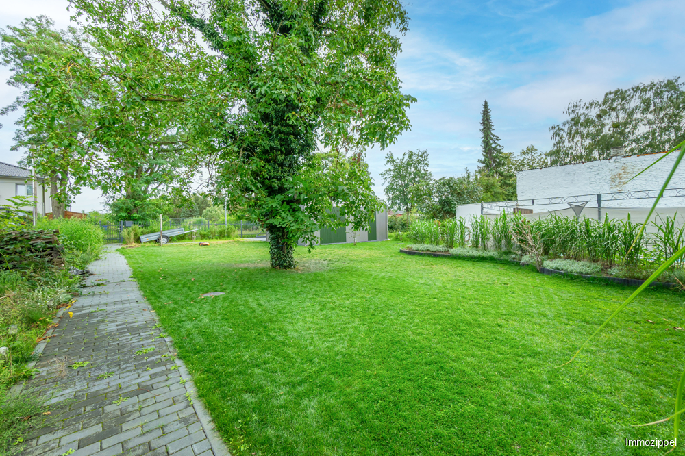 Blick in den Garten