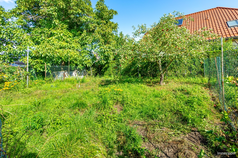 Baulandreserve auf dem hinteren Grundstücksteil