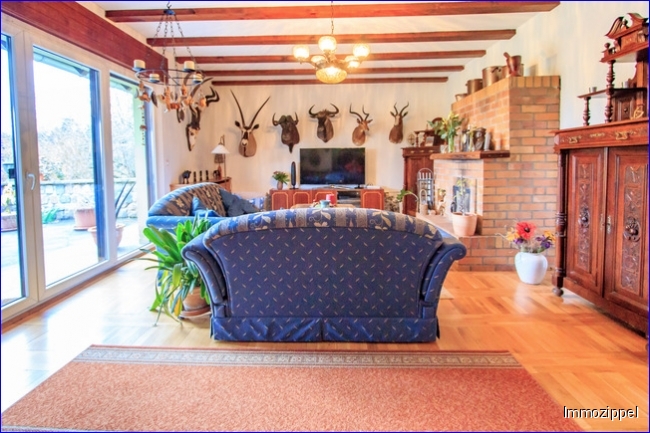 EG Ansicht Wohnzimmer mit Kamin und Terrassenzugang