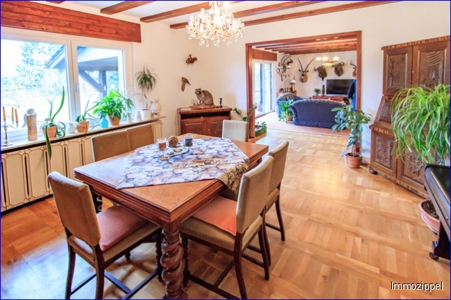 EG Großes Wohn-Esszimmer
