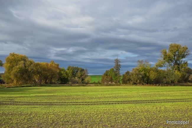 Landwirtschaftsfläche hinter der Scheune