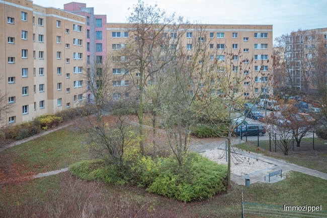 Blick aus dem Wohnzimmer
